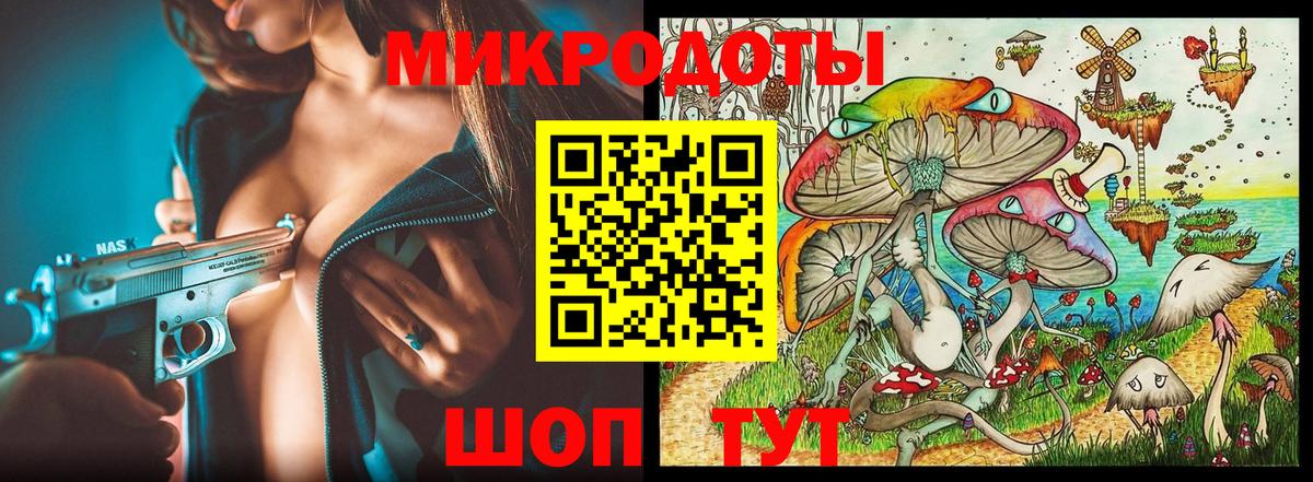 Псилоцибиновые грибы мицелий Балтийск