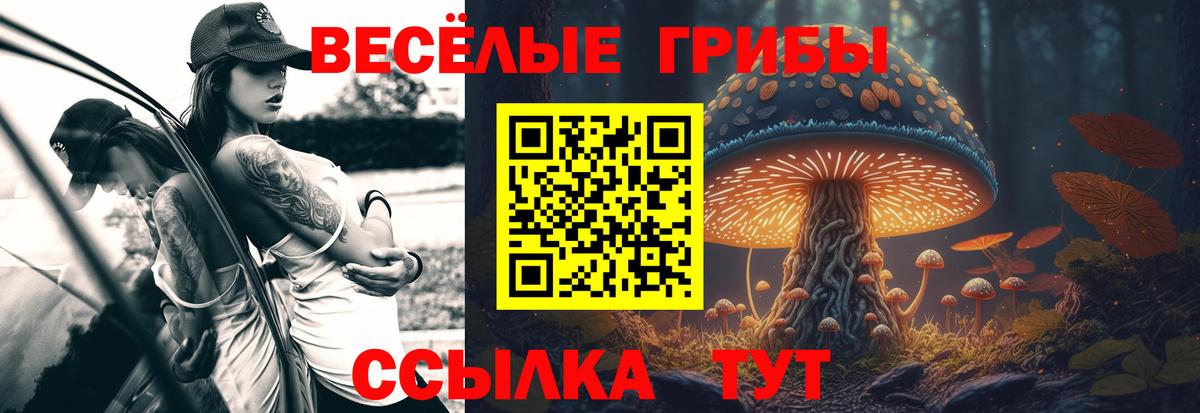 Балтийск  Галлюциногенные грибы Psilocybine cubensis  где найти   Вход с VPN 